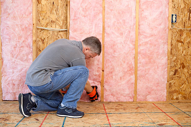 Best Blown-In Insulation  in Kingsland, TX